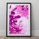 Abstracts - Leaf